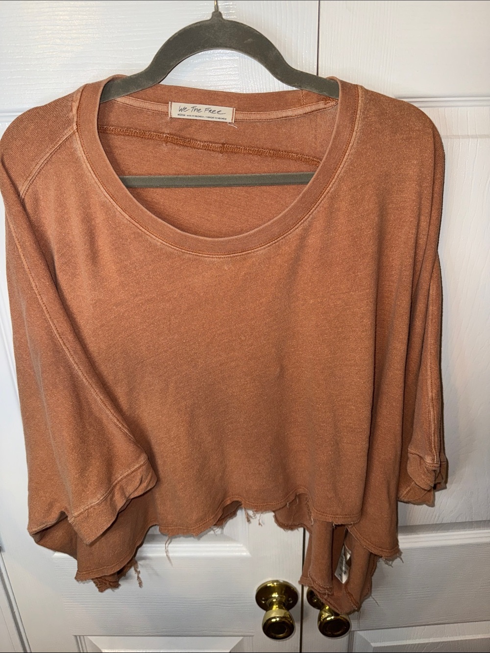 We The Free Distressed Cropped Sweatshirt in Rust